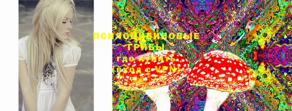 мяу мяу мука Новозыбков